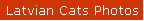 Latvian Cats Photos
